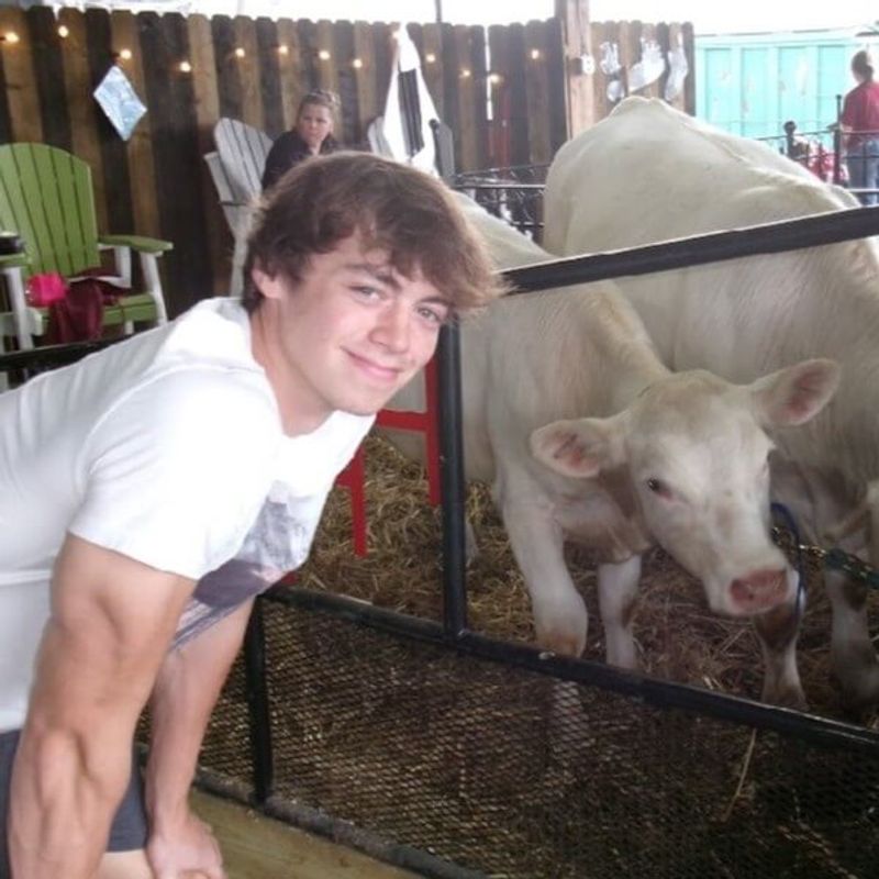 Picture of undefined