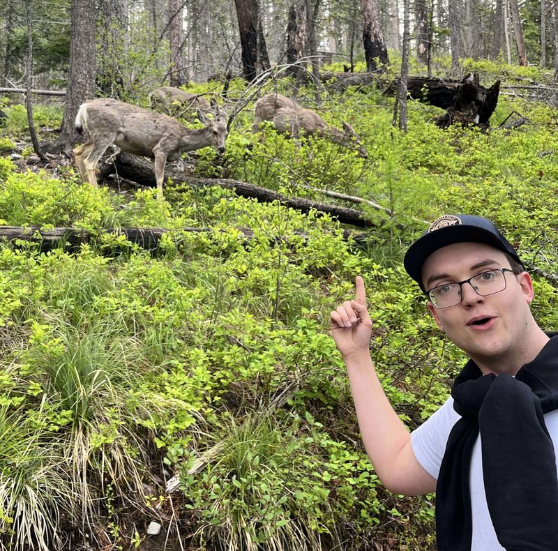 Picture of undefined