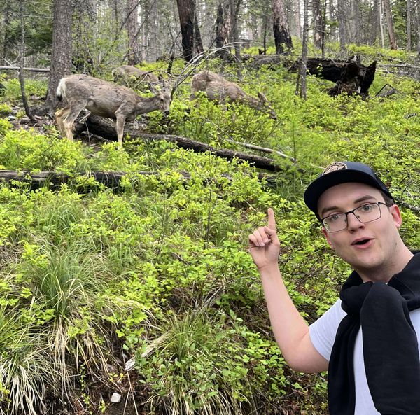 Picture of David Girard